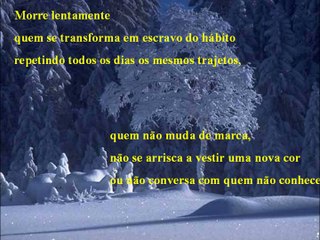 Viva hoje, faça hoje - Neruda