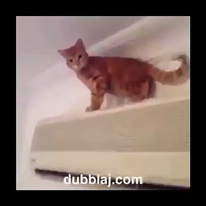 Dubblaj Türkiye.com & Kemal Sunal Dublajı !!!  ben buraya niye çıktım ?