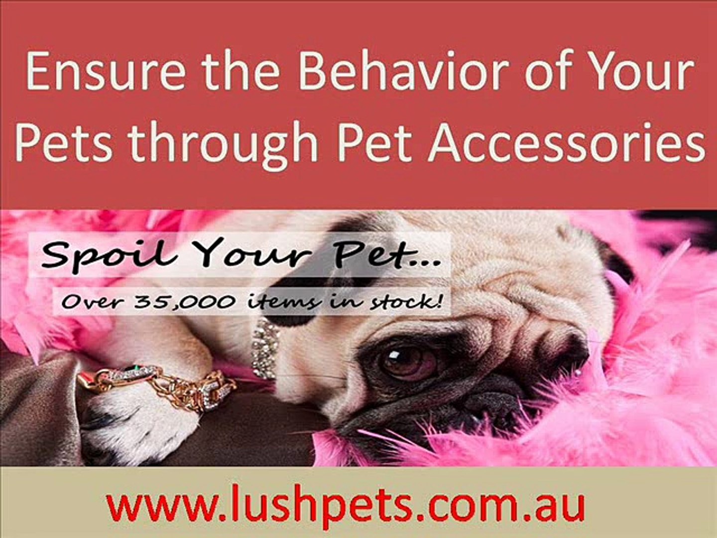 ⁣Behavior of your Pets through Pet Accessories