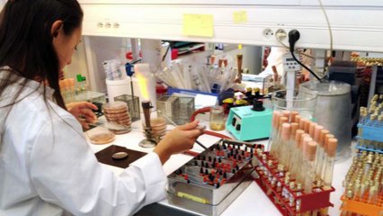 Interview du docteur et chercheur Paul BECQUART par Sylvain BLONDIN