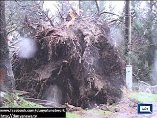 Dunya News-Storm lashes West Coast with rain, wind