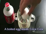Coka Cola and Boiled Egg, What happened...