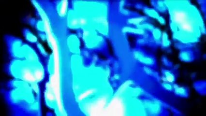 Katie Price wins CBB