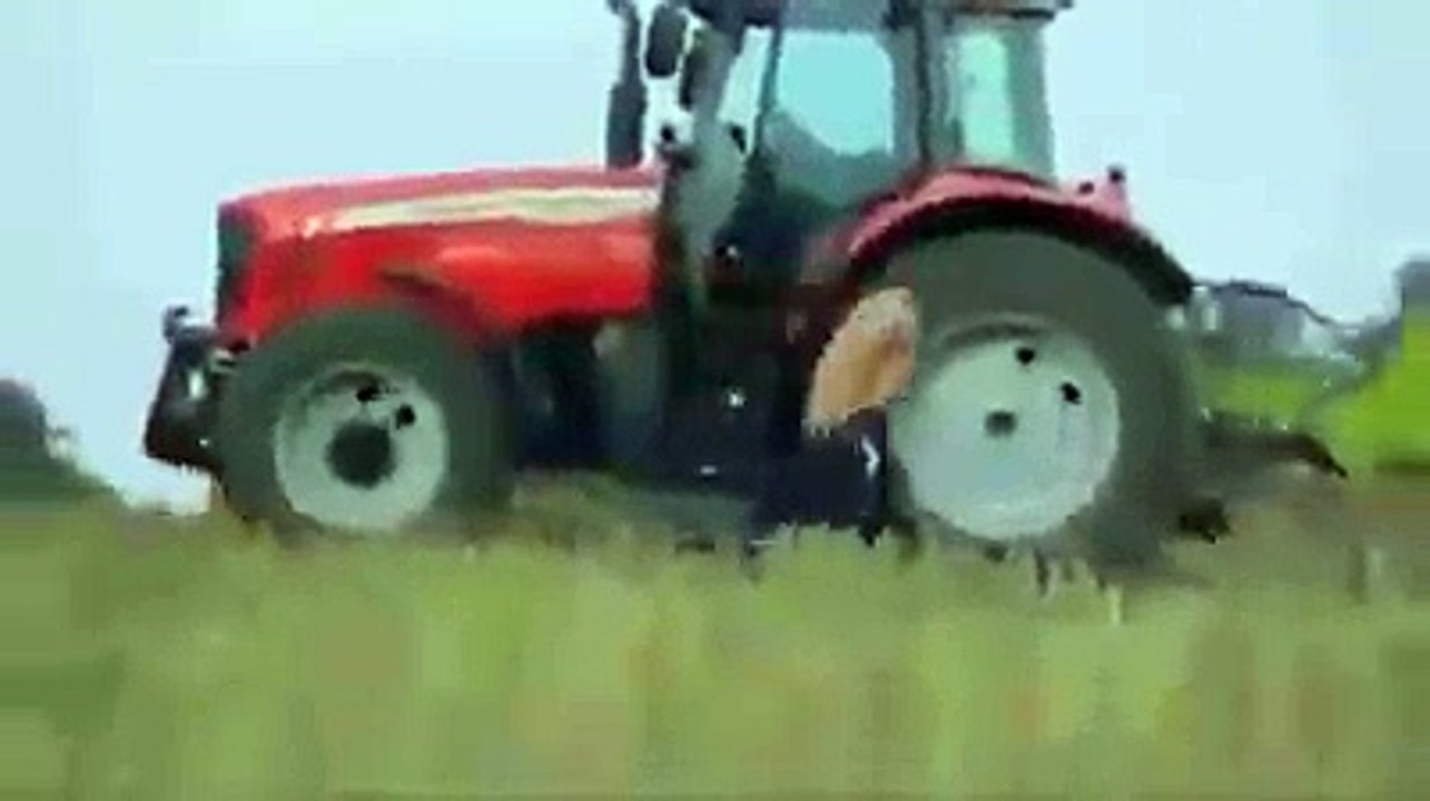 funny vidoes