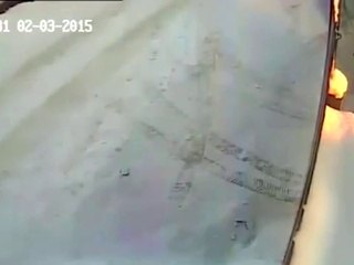 Jouez avec un chien peut être dangereux