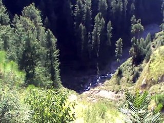 پہاڑی علاقہ میں گاڑی ہمیشہ احتیاط سے چلائیں