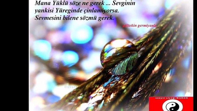 RESİMLERİN DİYARI- UZAYIN ÇİÇEĞİ MARON- GRUP AYNA-ARKADAŞ