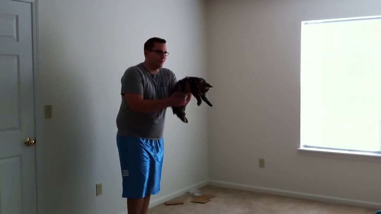 Кот обожает кидание на кровать - прикол !