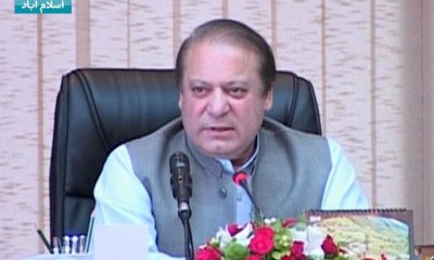 PML N Candidate For Senate Election