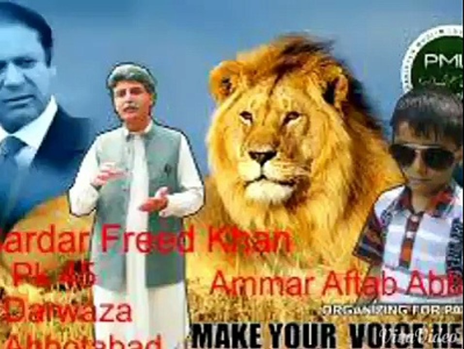pml n song