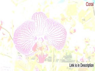 Coral Download (Risk Free Download)
