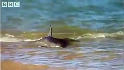 Amazing video don't miss it.....