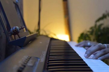 Tum hi Ho Aashiqui 2 (instrumental/piano cover)