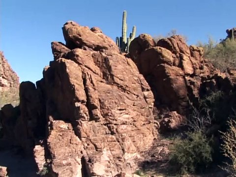 Saguaro National Monument (Billy Pollard plays God Bless America )