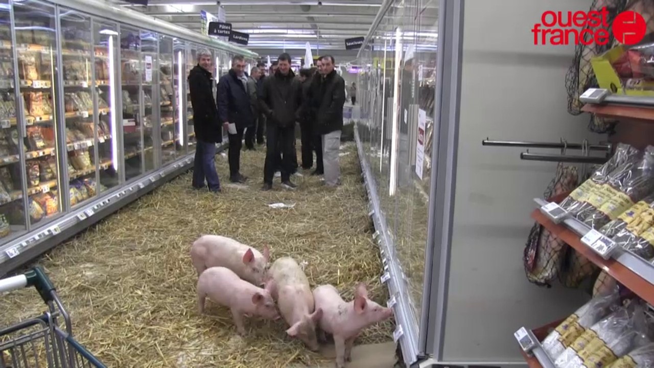 Crise porcine : les éleveurs s'invitent au supermarché près de Rennes
