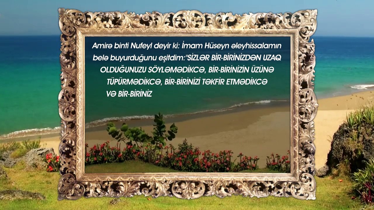 Aysel Vəlizadə-Hz Mehdinin çıxış əlamətləri