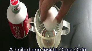 look what happen when putting an egg in cocacola