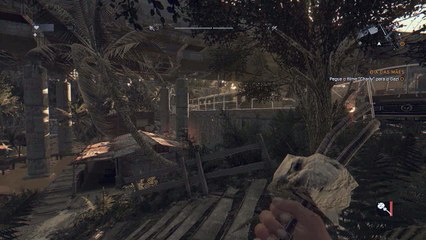 Dying Light: Guns Forever BUG