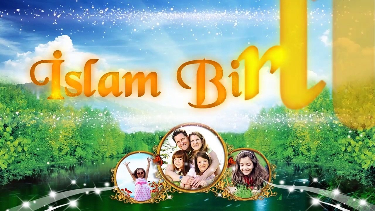 Aysel Vəlizadə-İslam Birliyi