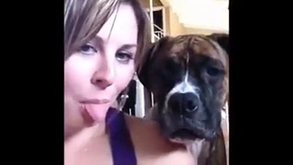 This dog does not care for your selfies