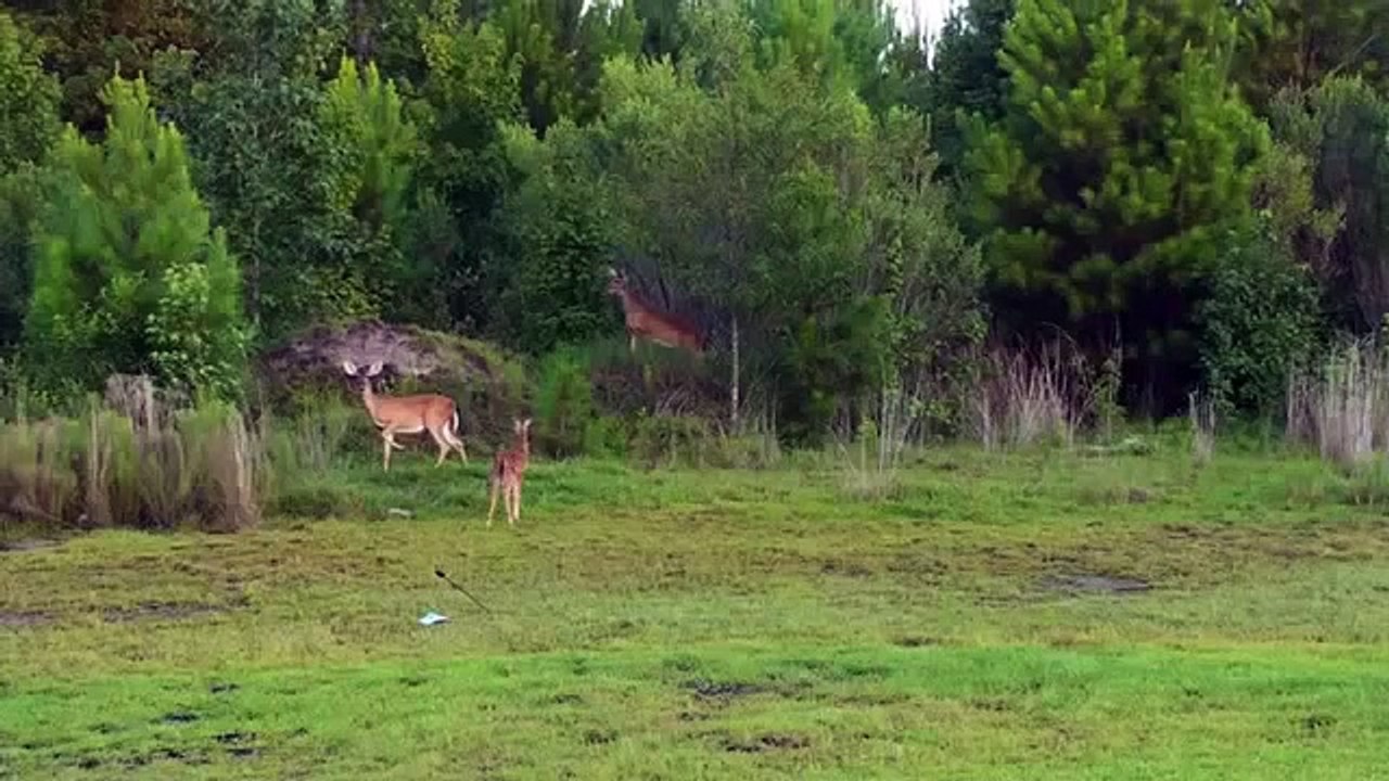 Planet Earth- Amazing nature scenery! Amazing beautiful Nature on earth #1