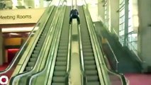 Escalators Accident