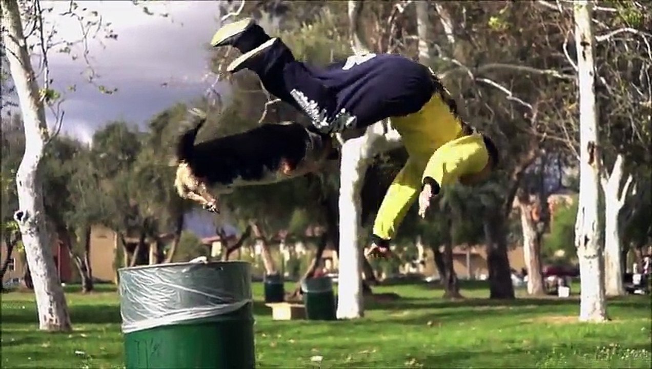 Epic Parkour Dog