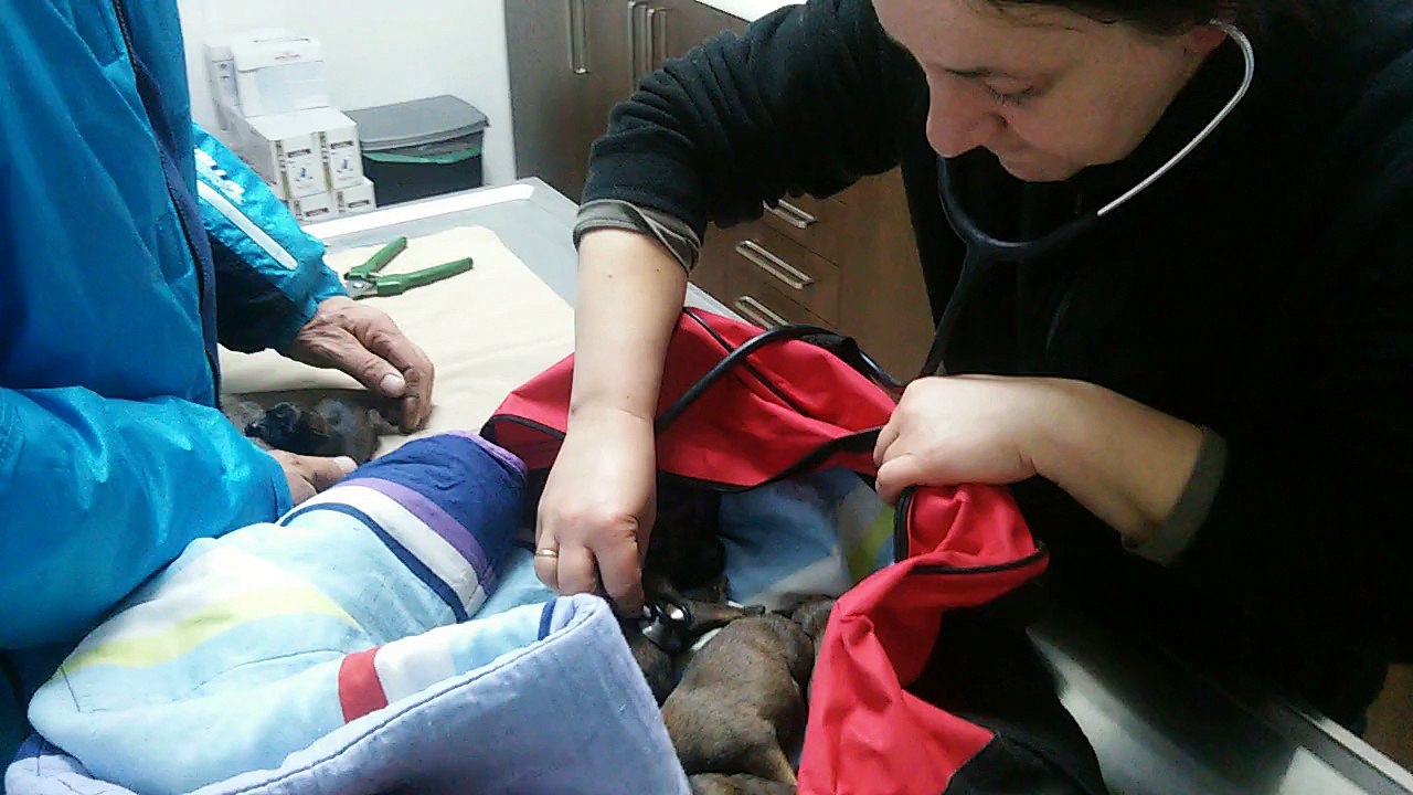 Be Aware H's @ Heartbeat