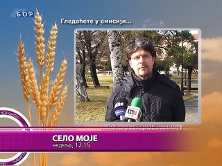 Navigator,06. februar 2015. (RTV Bor)