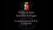 Cerignola (FG) - Rapina all'Alter Discount, arrestati (06.02.15)