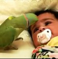 very cute baby see this videos must