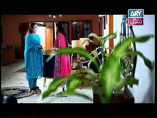 Bahu Begam Episode 110 Full on Ary Zindagi - YouTube