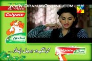 Digest Writer Episode 19 Full - 7 February By Hum Tv Full Drama