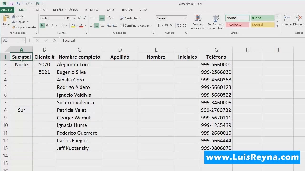 9.Relleno rapido y autorelleno en Excel (Clase 9 de 25)