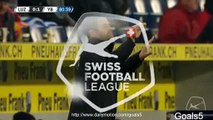 Vilotić M Goal Luzern 0 - 1 Young Boys Swiss Super League 7-2-2015