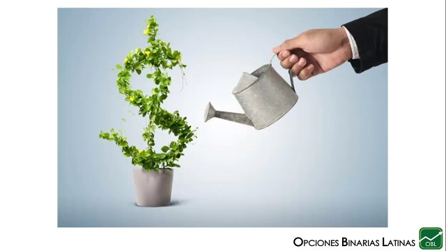 Como debo alcanzar mis metas financieras