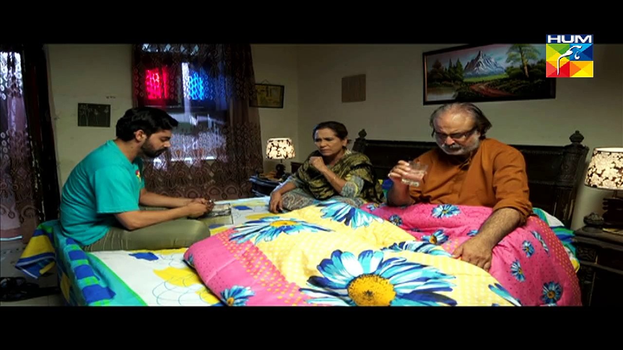 Digest Writer Feb 07, 2015 19 Full Episode HUM TV Drama