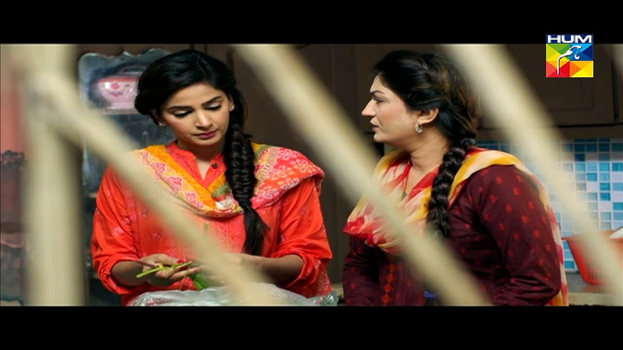 Digest Writer Feb 07, 2015 Episode 19 Part 1 HUM TV Drama