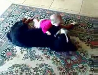 Baby playing with her Dog | Funny Videos