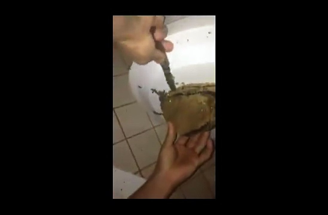 سبحان اللہ ۔ میرے رب کی نعمتیں