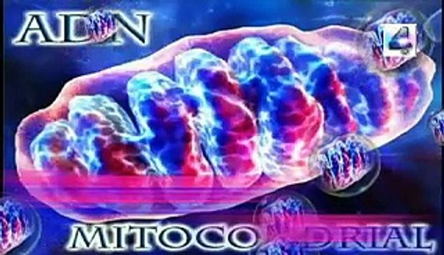 juventud biologica el secreto esta en hacer deporte y enigmas misterios secretos mitos paranormal fantastico español latino