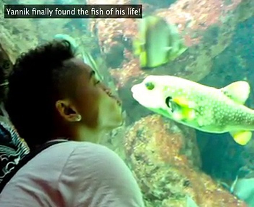 Aquarium Réunion Saint Gilles