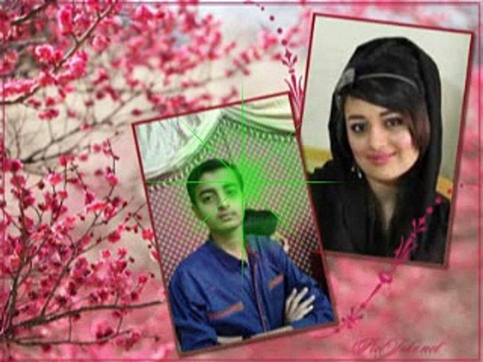 hammad jan