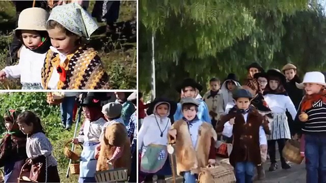 [Hino da Fruta 2014-2015 -- salas A, B, C, D Agrup. escolas n.º 1 -Jardim infância Serpa -Beja]