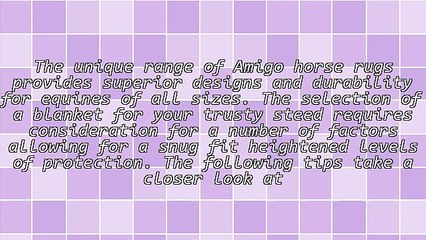 Tips To Choose The Best Amigo Horse Rugs