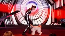 Ashleigh and Pudsey Britains Got Talent 2012 Final International version