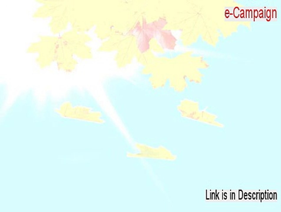 e-Campaign Crack - e-campaigning definition (2015)