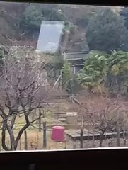 MeteoReporter Domodossola 7/02/2015