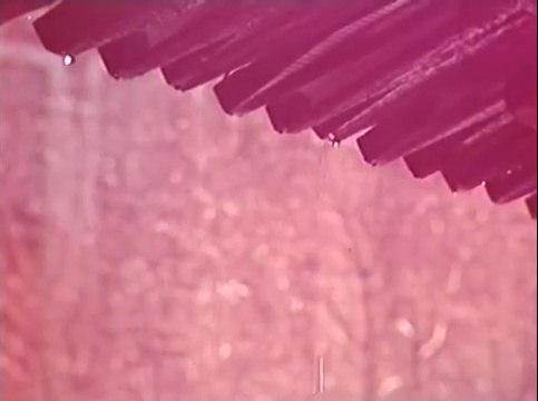 1982 год. Город Горький