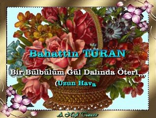 Bahattin TURAN *Bir Bülbülüm Gül Dalında Öterim* (U.H)